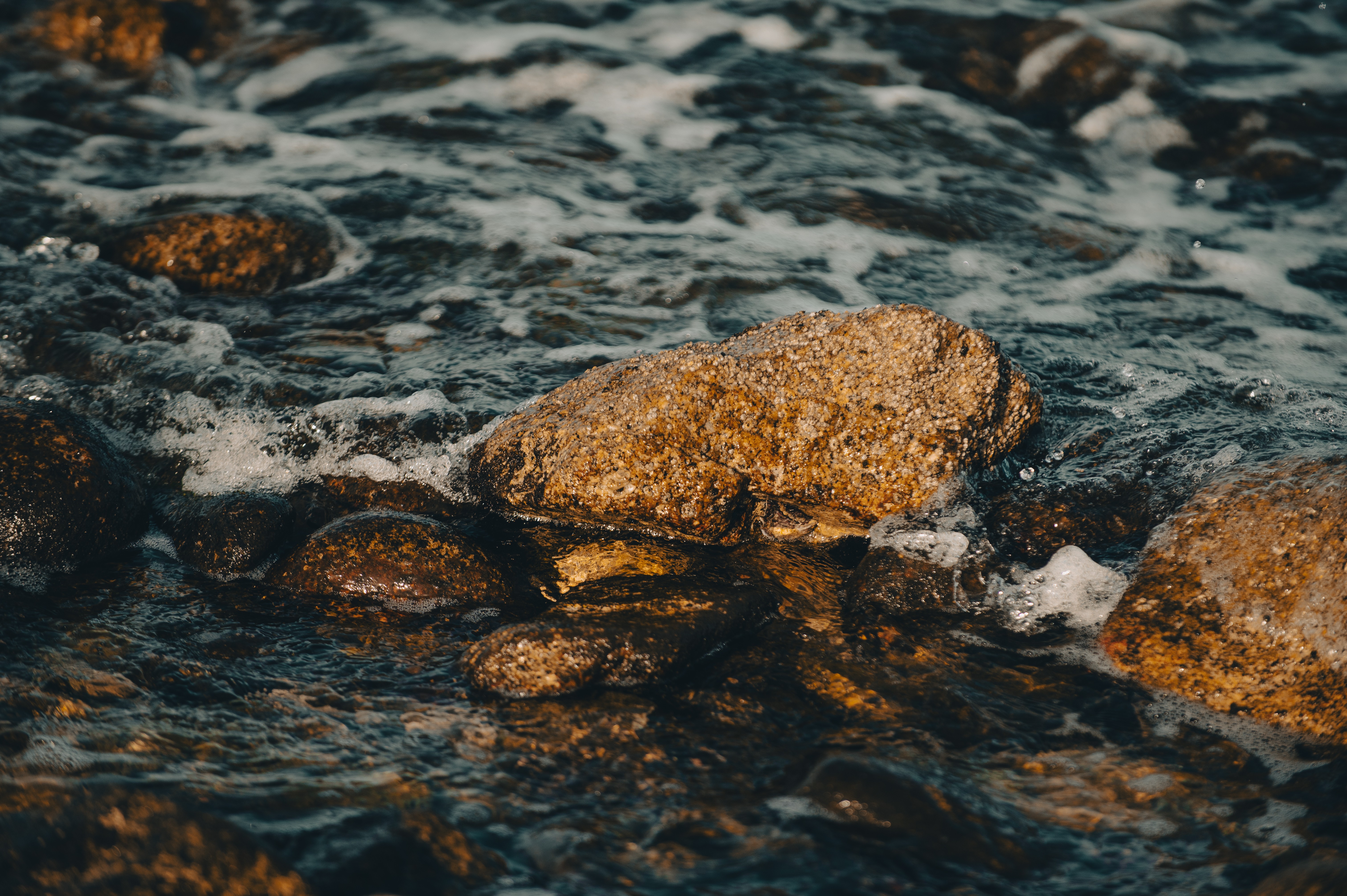 Orilla del mar en La Ventana